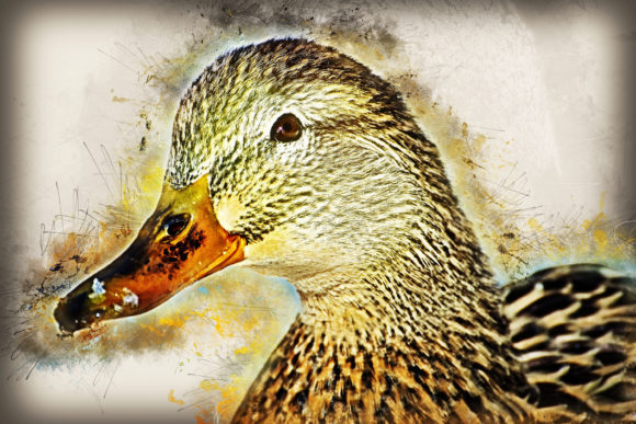 Download Grunge Style Bird Printable Graphics 03 - Graphic Collection