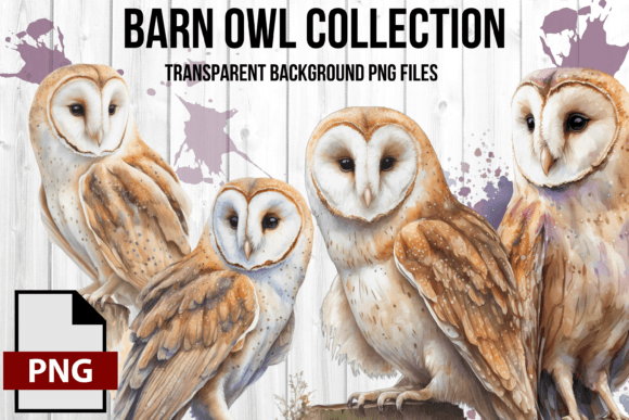 Download Watercolor Vintage Barn Owl Graphic Set - Graphic Collection